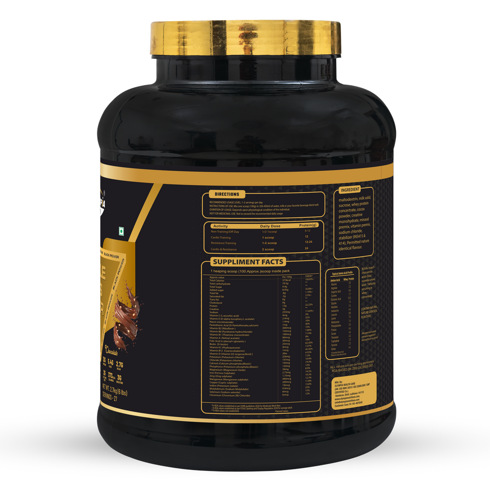 Muscle Mass Gainer Chocolate Net.Wt 2.7Kg(6 lbs)