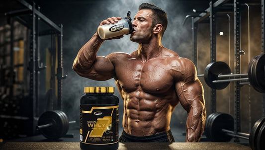 Why Plant Based Protein Powders Are Gaining Popularity in the Fitness Industry