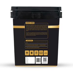 Massive Gainer Chocolate Net.wt 5kg (11 lbs)