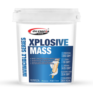 Xplosive Mass 4kg kulfi cream