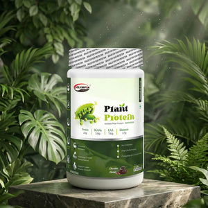 Plant based Protein